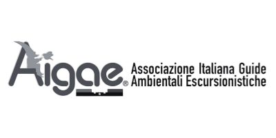 logo aigae